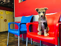 Negocio Centro Clínico Veterinario San Miguel