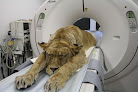 Negocio Clínica Veterinaria Aluche