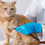 Negocio Clínica Veterinària Gàtika - Veterinario Hospitalet