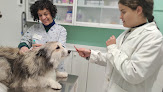 Negocio Clinica Veterinaria Valmeda